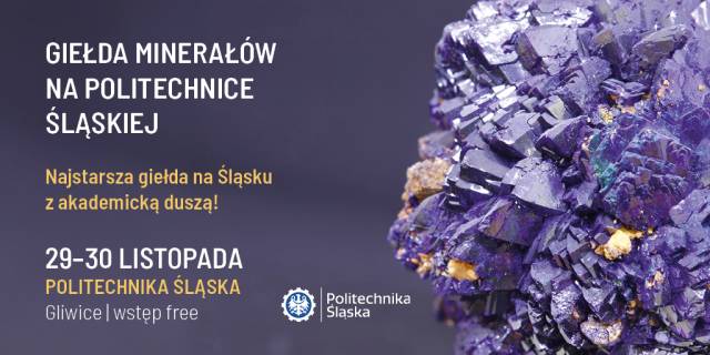 Giełda Minerałów na Politechnice Śląskiej 
