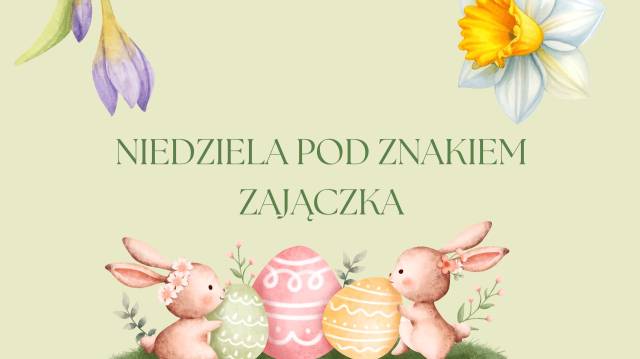 Niedziela pod znakiem zajączka