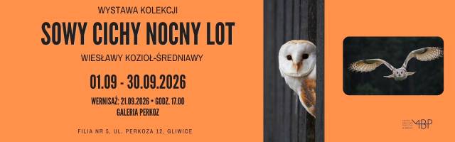 Sowy nocny cichy lot