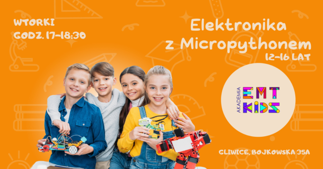 Zajęcia dla młodzieży z elektroniki i programowania Python