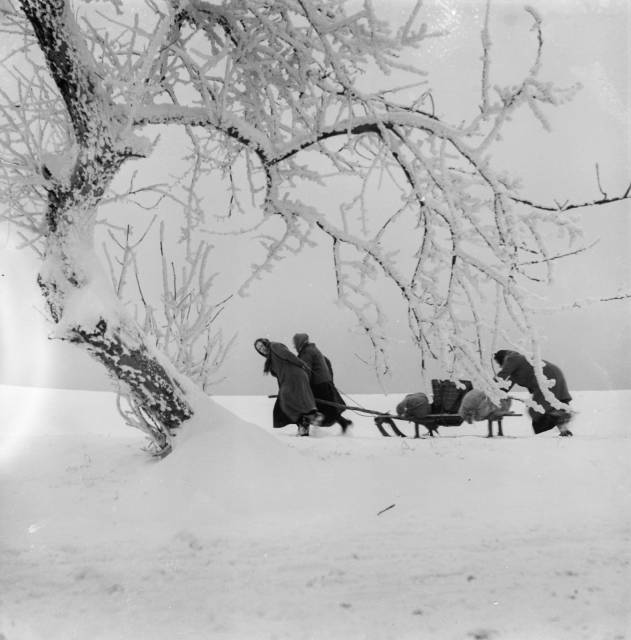 '45. Rok ostatni, rok pierwszy na Górnym Śląsku