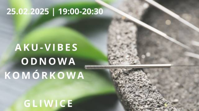 AkuVibes – Koncert Odnowa komórkowa GLIWICE 