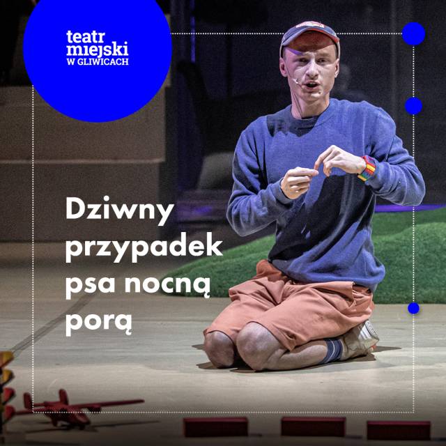 Dziwny przypadek psa nocną porą