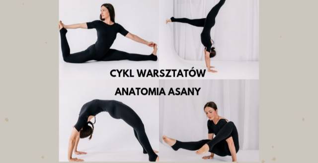Cykl warsztatów - W głąb pozycji /anatomia asany.